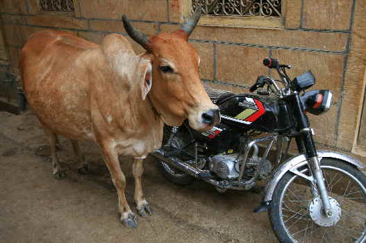Indien Rajasthan