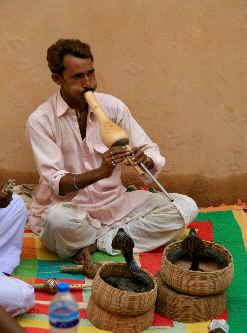 Schlangenbeschwrer Indien